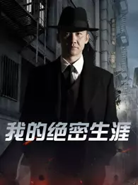 我的绝密生涯40集版
